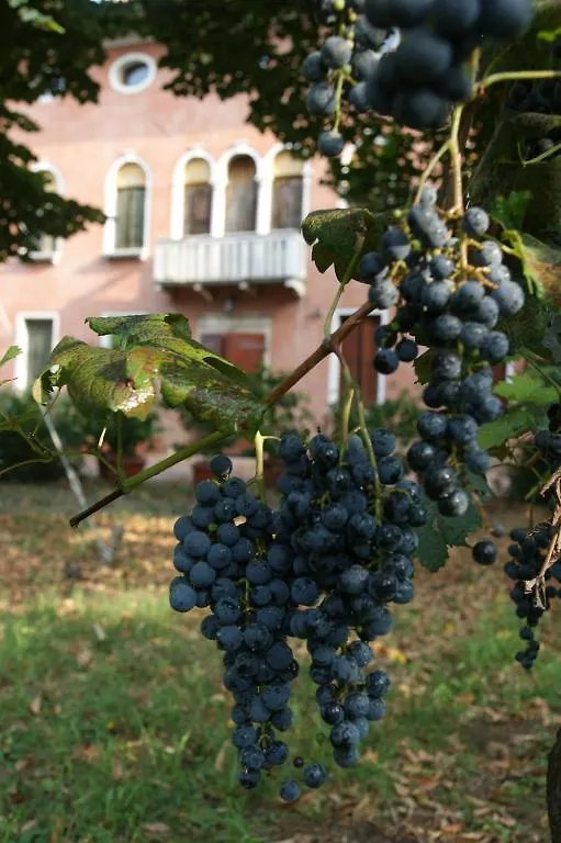 Agriturismo Villa Mocenigo Mirano Agroturismo